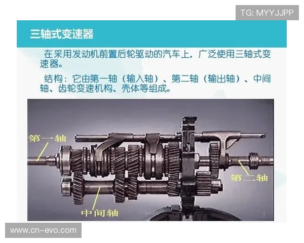 骑车变速五大禁忌助你全面避免损坏整套变速系统的实用指南详解篇
