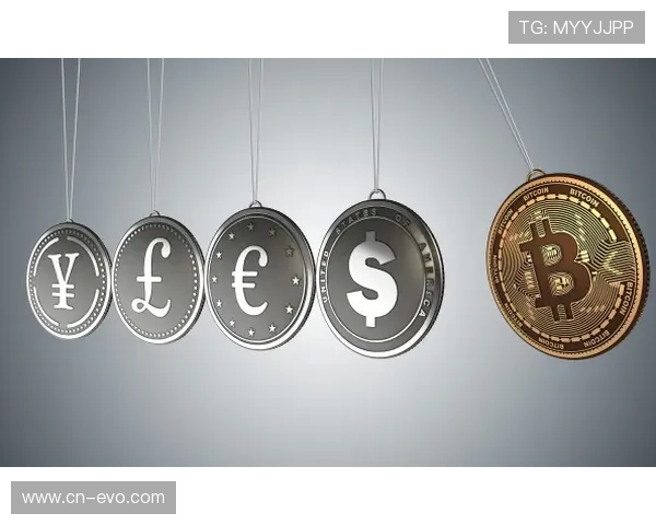NEWBB体育引领数字观赛新时代深度解析平台特色与赛事互动魅力发展趋势